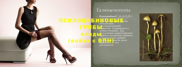 крисы Алексеевка