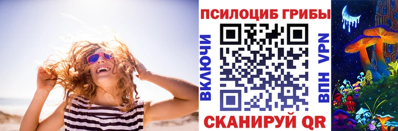 купить наркотики цена  Приморск  hydra вход  Псилоцибиновые грибы Psilocybine cubensis 